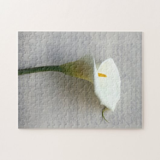 calla lily sur l'ancien puzzle d'écriture manuscri (Horizontal)