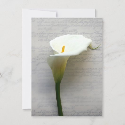 calla lily sur l'ancienne invitation à l'écriture (Devant)