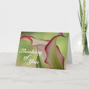 Calla Lily Wenskaart Kaart