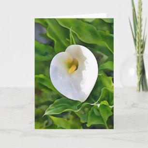 Calla Lily White Flower Garden Art Note Kaart