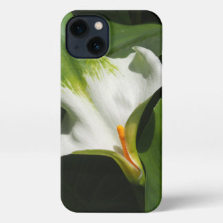 Calla Lily, Zantedeschia iPhone 13 Hoesje
