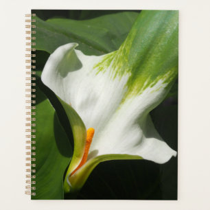 Calla Lily, Zantedeschia Planner