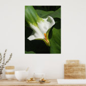 Calla Lily, Zantedeschia Poster (Keuken)