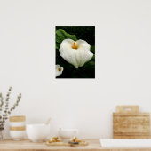 Calla Lilys Poster (Keuken)