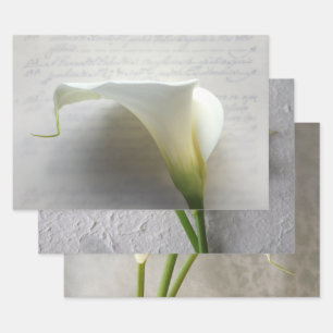 Calla Lys Enveloppement Papier Ensemble de 3