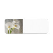 calla lys étiquette (Devant)