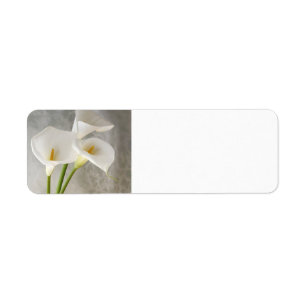 calla lys étiquette