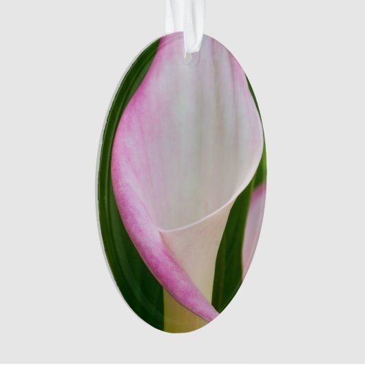 Calla Pano Ornament (voorkant)