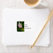 Calla Roll Address Label (Insitu)