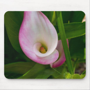 Calla Roll Muismat