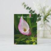 Calla Roll Penser À Vous Carte Postale (Debout devant)