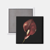Calla rouge - Magnet (Recto/Verso)