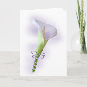 Calla van de pastelkleur de Paarse Kaart van de