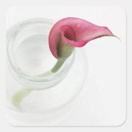Calla Vierkante Sticker