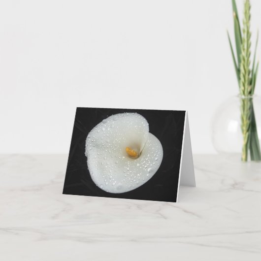 CallaLily après un carte pour notes de douche de (Devant)