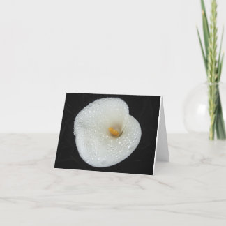 CallaLily na een avonddouche NoteCard Kaart