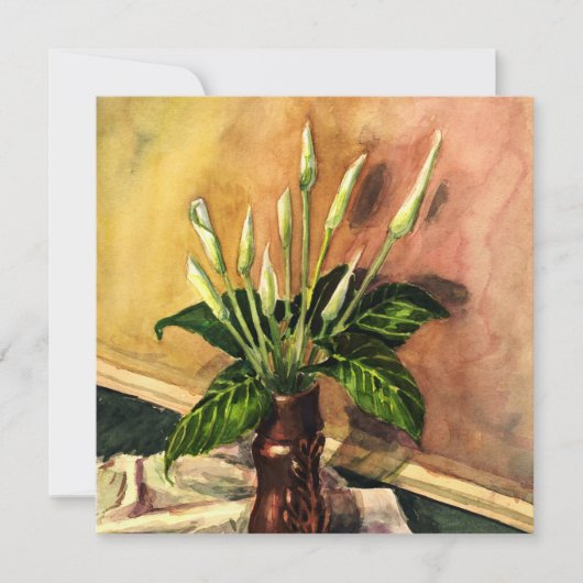 Calla's (Voorkant)