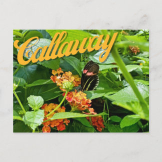 Callaway Garden Butterfly Flower Georgia Briefkaar Briefkaart