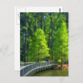 Callaway Landscape Briefkaart (Voorkant / Achterkant)