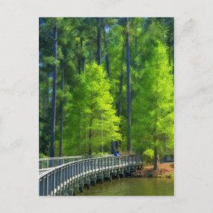 Callaway Landscape Briefkaart