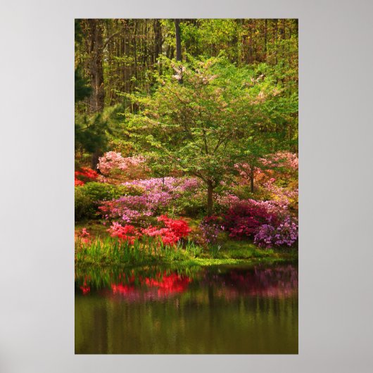 Callaway Landscape Poster (Voorkant)