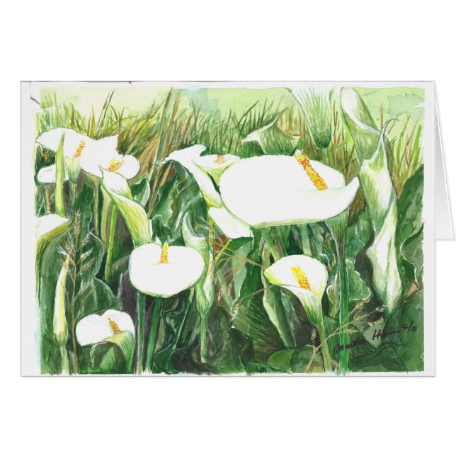 Calle Lilies (Voorkant Horizontaal)
