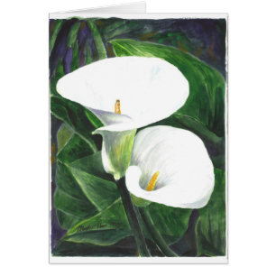 Calle Lilies