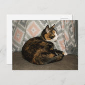 Callie Cat op Sofa Briefkaart (Voorkant / Achterkant)