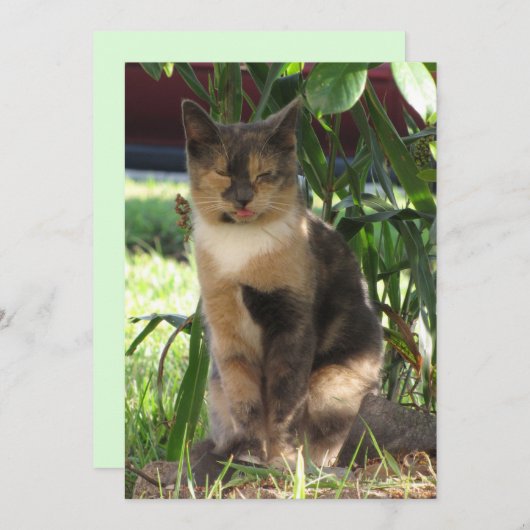 Callie Muffin de Dwaze Zwerfkat Plat Kaart (Voorkant / Achterkant)