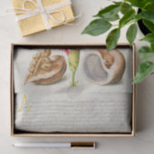 Calligrafie (anjer, insecten en mariene weekdieren tissuepapier (Geschenk)