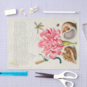 Calligrafie (anjer, insecten en mariene weekdieren tissuepapier (Craft)