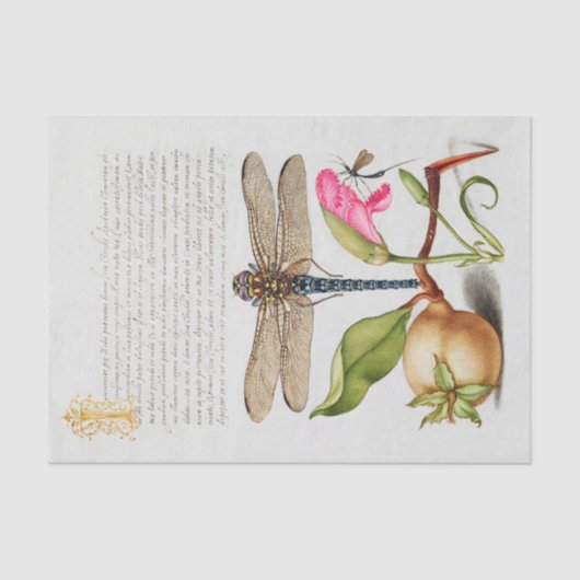 Calligrafie (Dragonfly, anjers en peren) Tissuepapier (Voorkant)