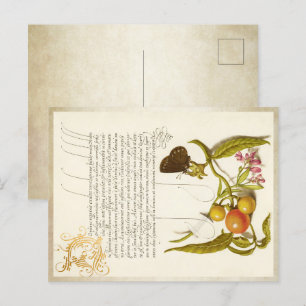 Calligrafie gelaste initiaal  planten ringlet feestdagenkaart