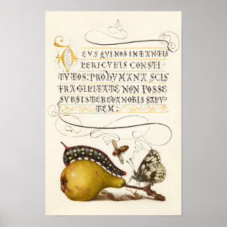 Calligrafie van gelakt initiaal pereninsect poster