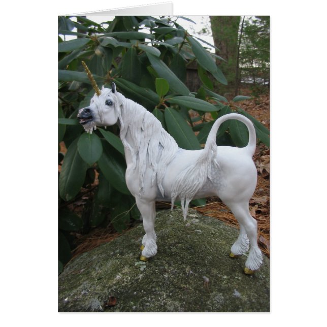 Calling Unicorn (Voorkant)