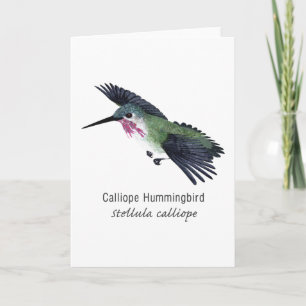 Calliope Hummingbird met naam Kaart