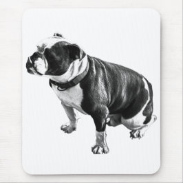 Calm Beneath the Work Muismat