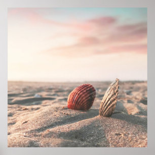 Calm Sand Beach Zee Shell Ocean Photography Poster