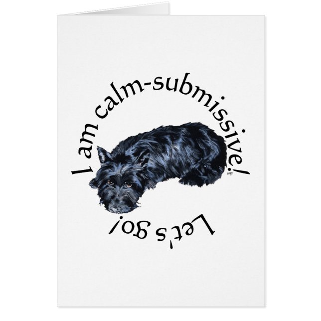 Calm Scottish Terrier (Voorkant)
