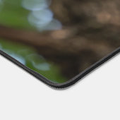 Calm Vervet Monkey in Nature (Coin)