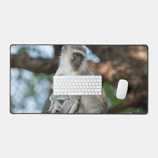 Calm Vervet Monkey in Nature Bureaumat (Keyboard & Muis)