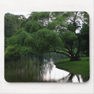 Calm Waters Mousepad Muismat
