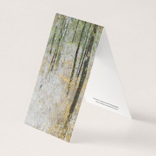 "Calme" - Photo transformée d'arbres dans une forê (Front)