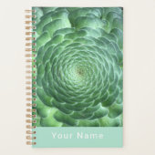 Calme Vert Plante Succulent (Devant)