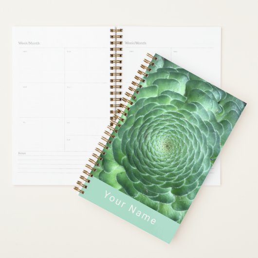 Calme Vert Plante Succulent (Devant avec enveloppe)