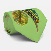 Calocampa vetusta cravate de chenille (Roulé)