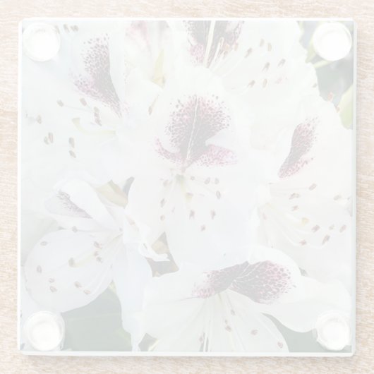 Calsap Rhododendrons Glazen Onderzetter (Achterkant)