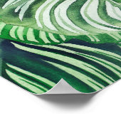 Calthea Orbifolia Poster (Hoek)