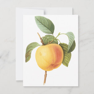 Calville Apple van Pierre Redoute Uitnodiging