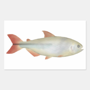 Camapuã Rechthoekige Sticker